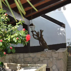 Apartment Apartments&rooms, Premantura